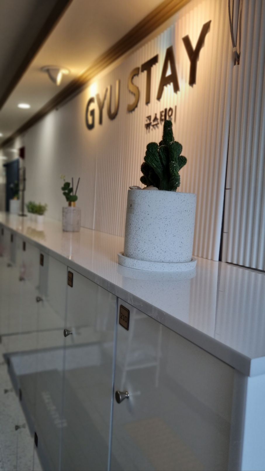 천안 고시원 규스테이 선인장 화분과 GYU STAY 로고